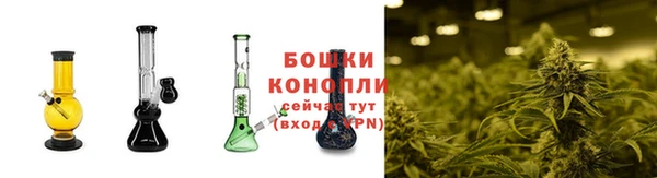 эйфоретик Верея