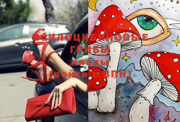 молекула духа Волосово
