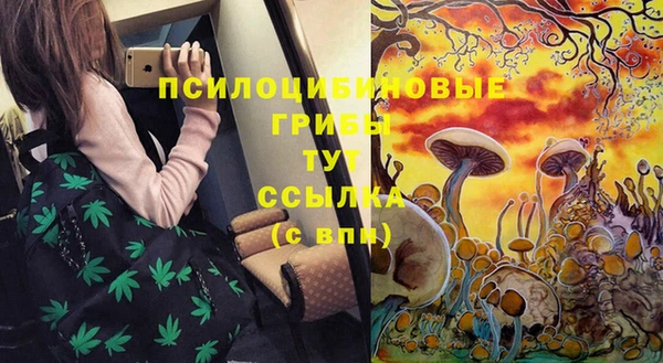 прущие грибы Бугульма